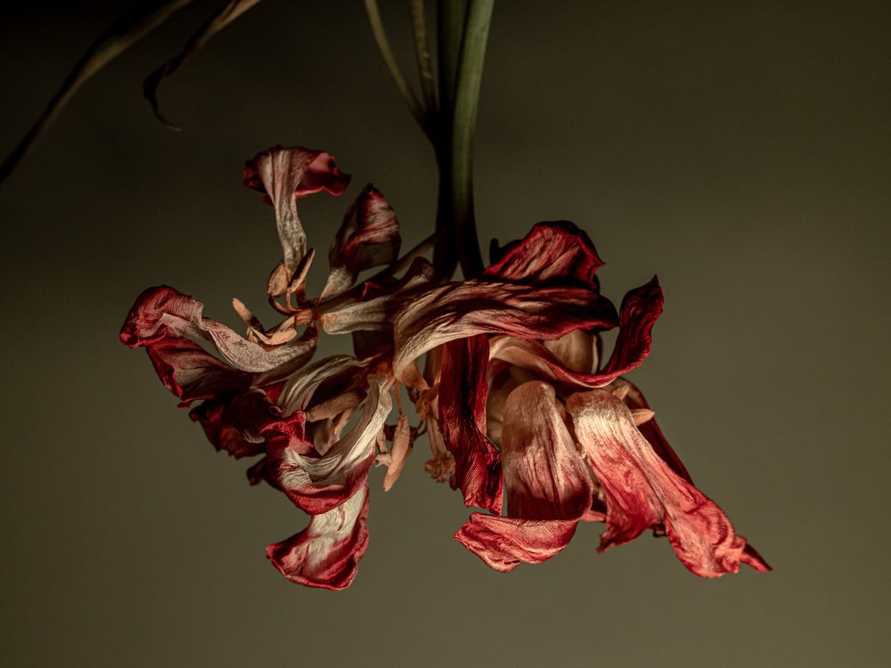 Photograph by Сергей Межевич