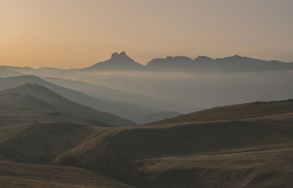 Фотография автора Шипунова Ирина