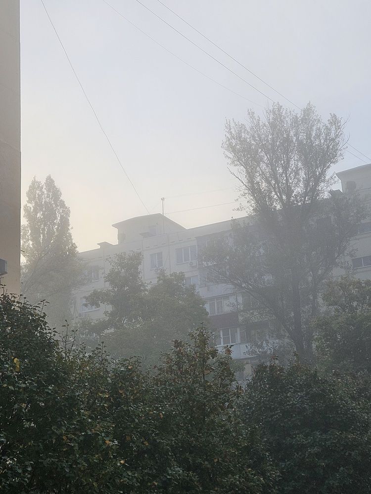 Фотография автора Надежда Сагакянц