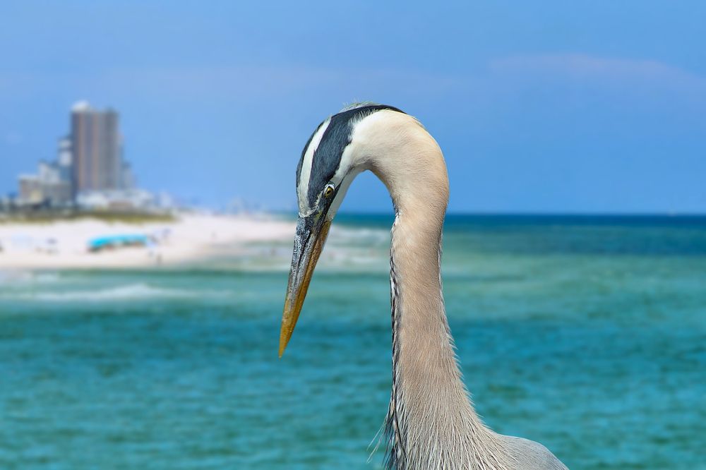 Фотография автора Jeff Cooley