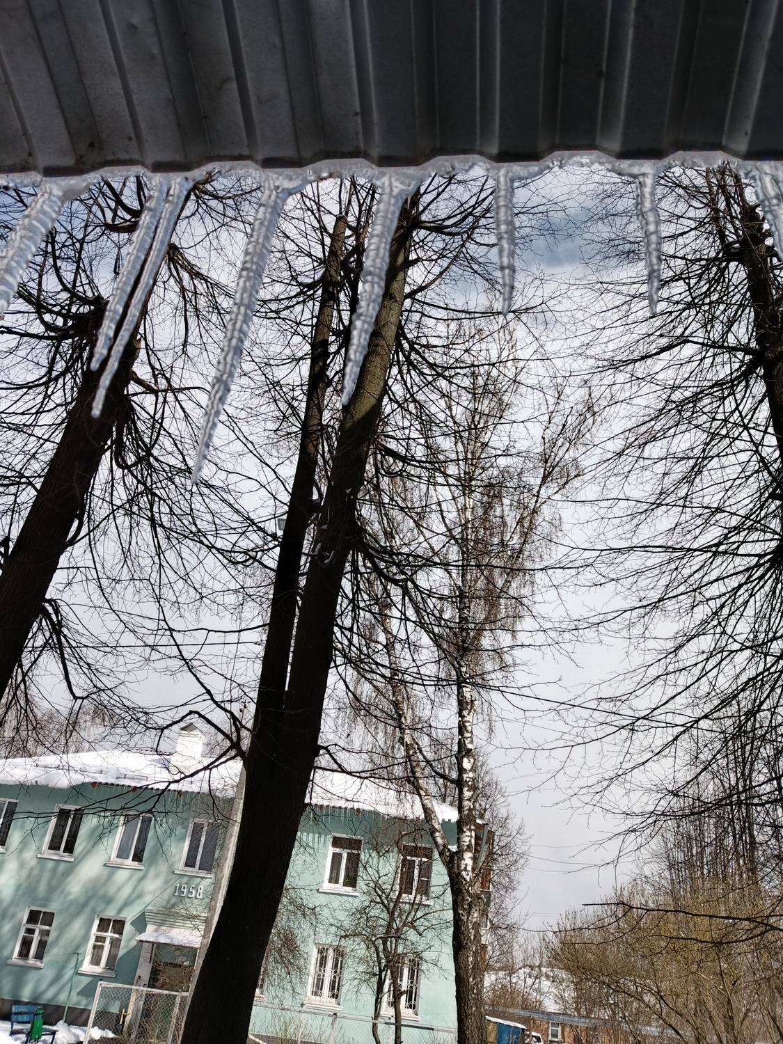 Photo #12129322