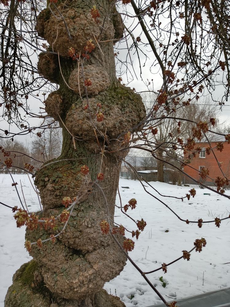 Photo #12129323