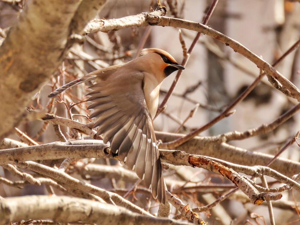 Утренняя разминка