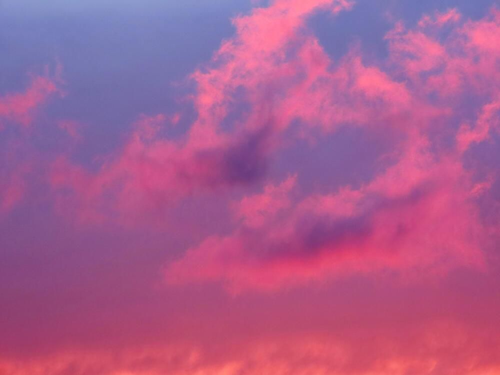 Небесный дракон