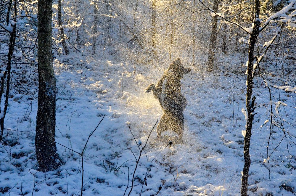 Photograph by Вадим Кумпяк