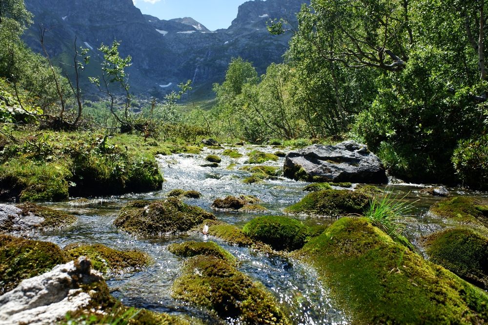 Photograph by Зорин Миша