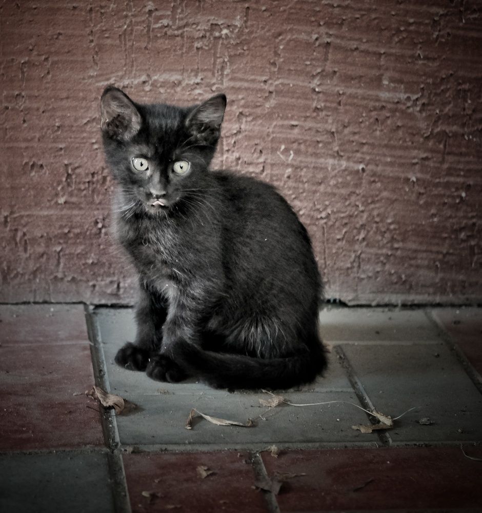 Photograph by Сергей Кошин