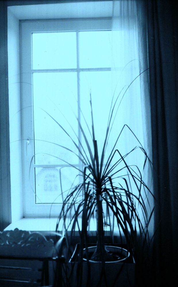 Photograph by Михаил Моисеев