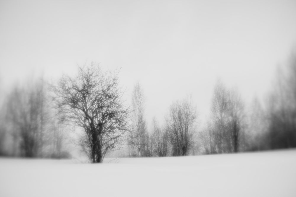 Фотография автора Мария Шишкина