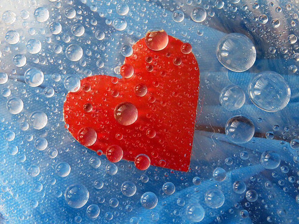 Photograph by Mila Nikolova