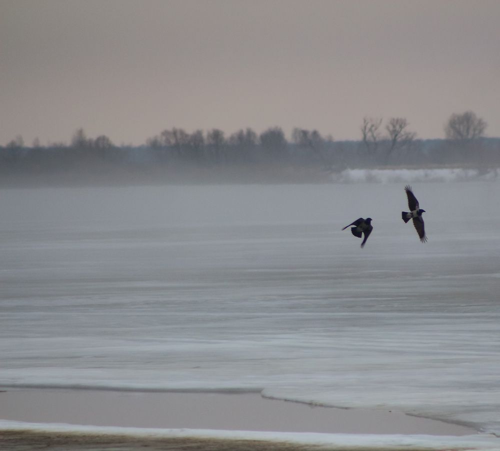 Photograph by Kim Natasha