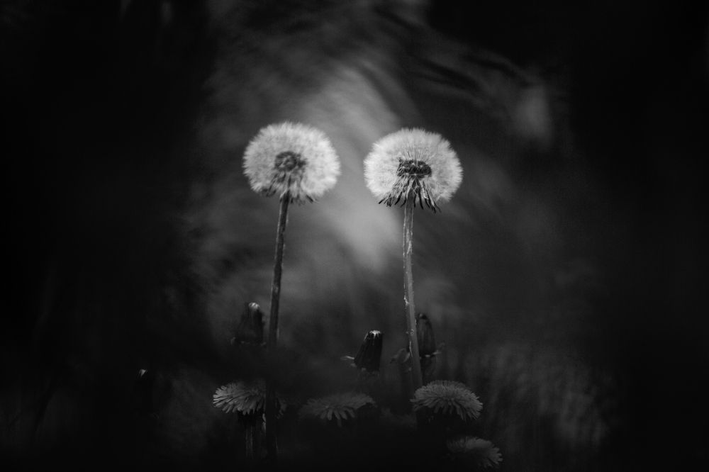 Photograph by Sergey Farenyuk