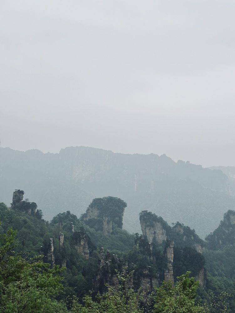 Photograph by Светлана Ионова