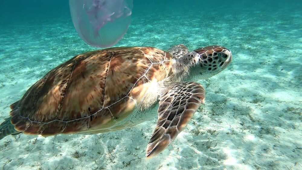 Фотография автора Daniela Retzer