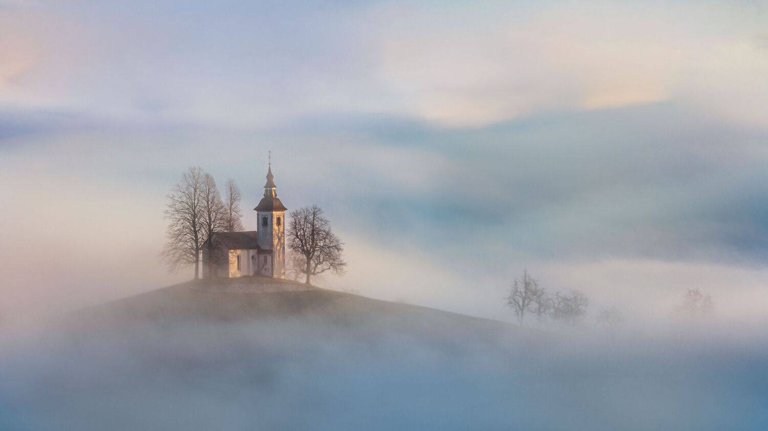 Foggy morning