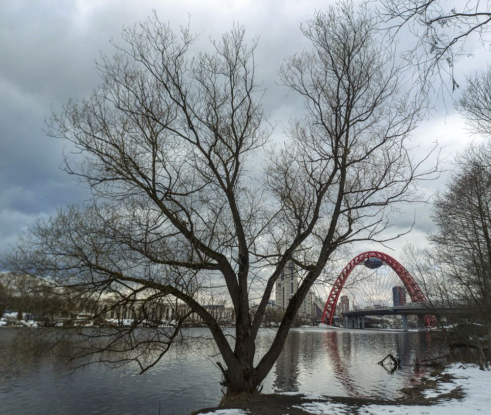 Photograph by Владимир Баулин