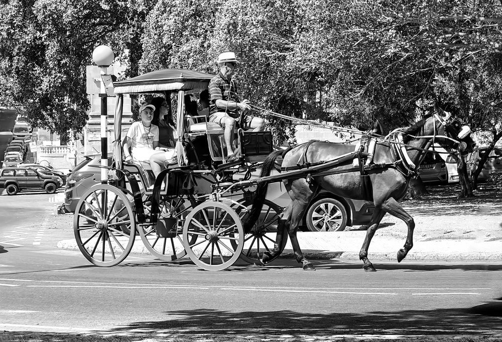 Photograph by Grădinaru Catalin