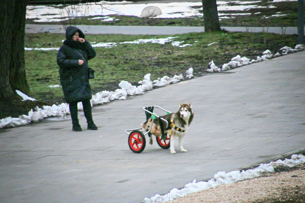 Судьба