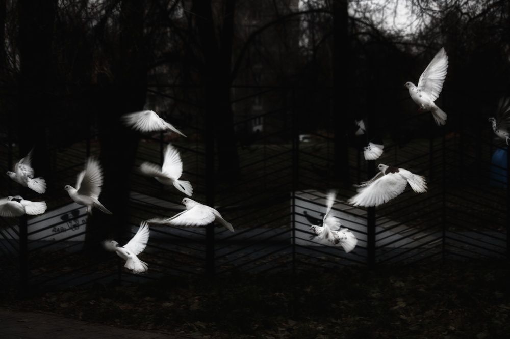Photograph by Дмитрий Кирсанов