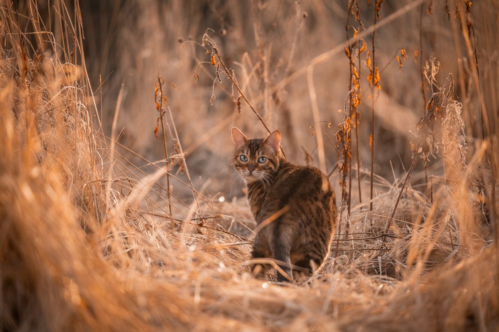 Photograph by Dina Damotseva