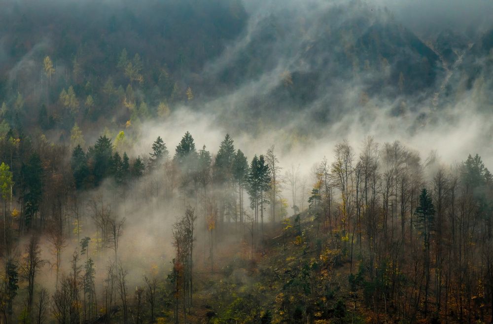 Shot in Slovenia (2023)