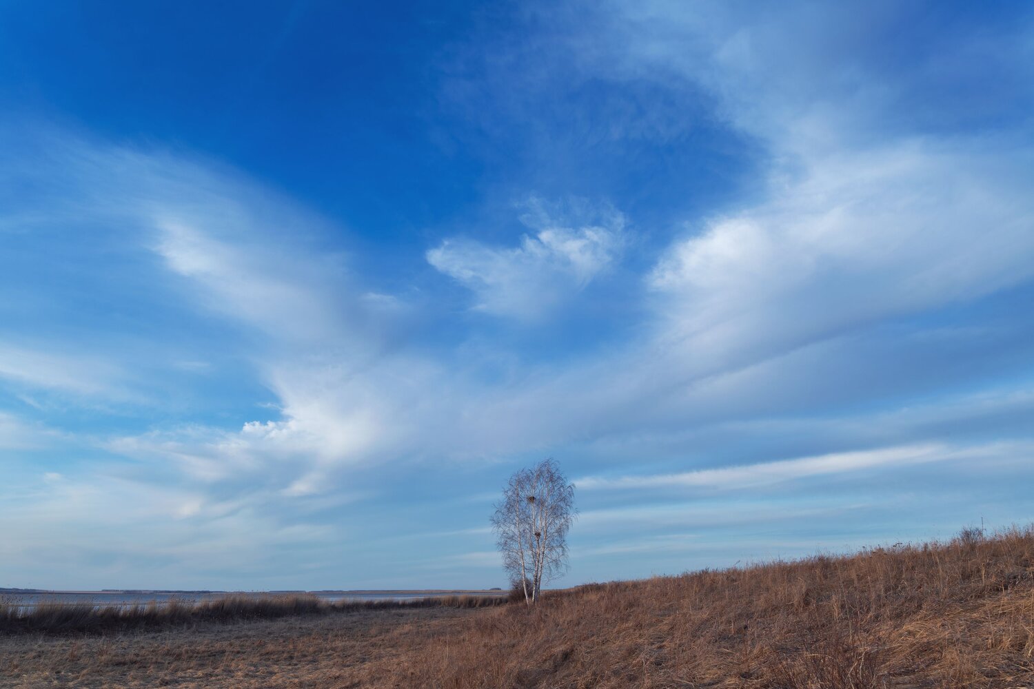 Photo #12130332