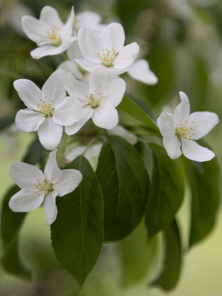 Photograph by Рина Серёгина