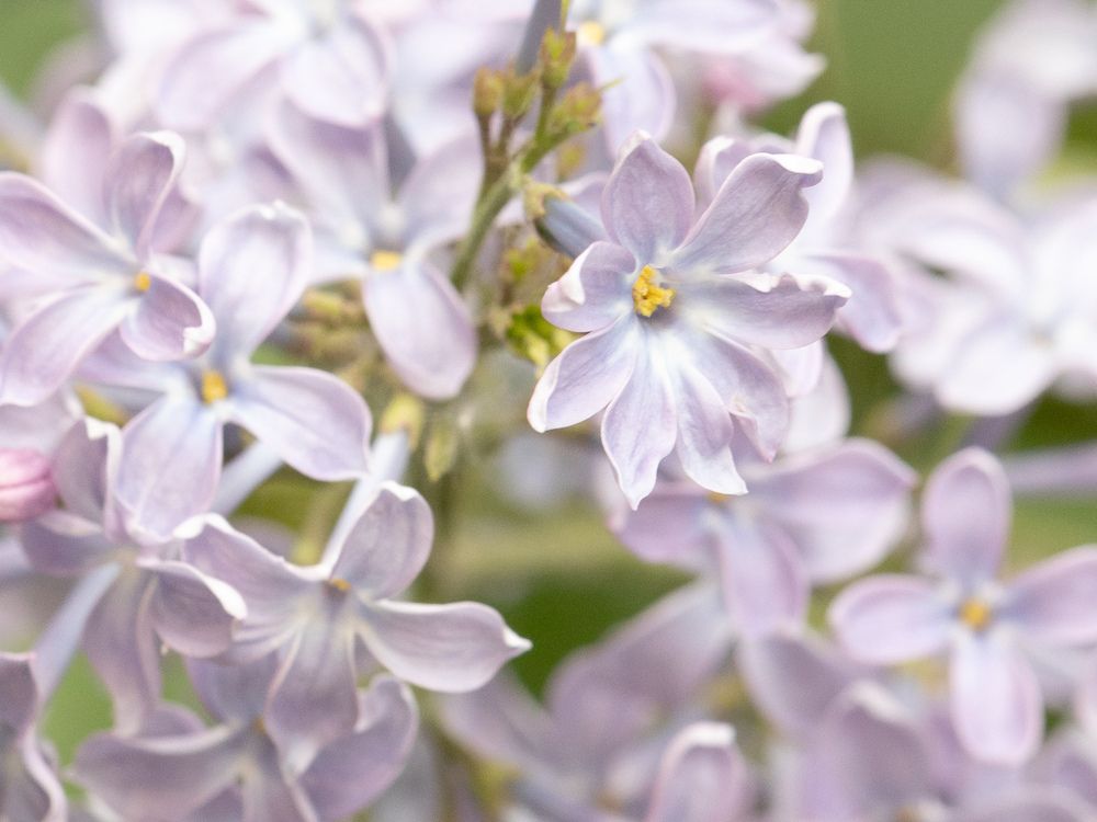 Photograph by Рина Серёгина