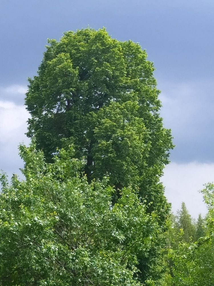 Photograph by Юрий Гордеев