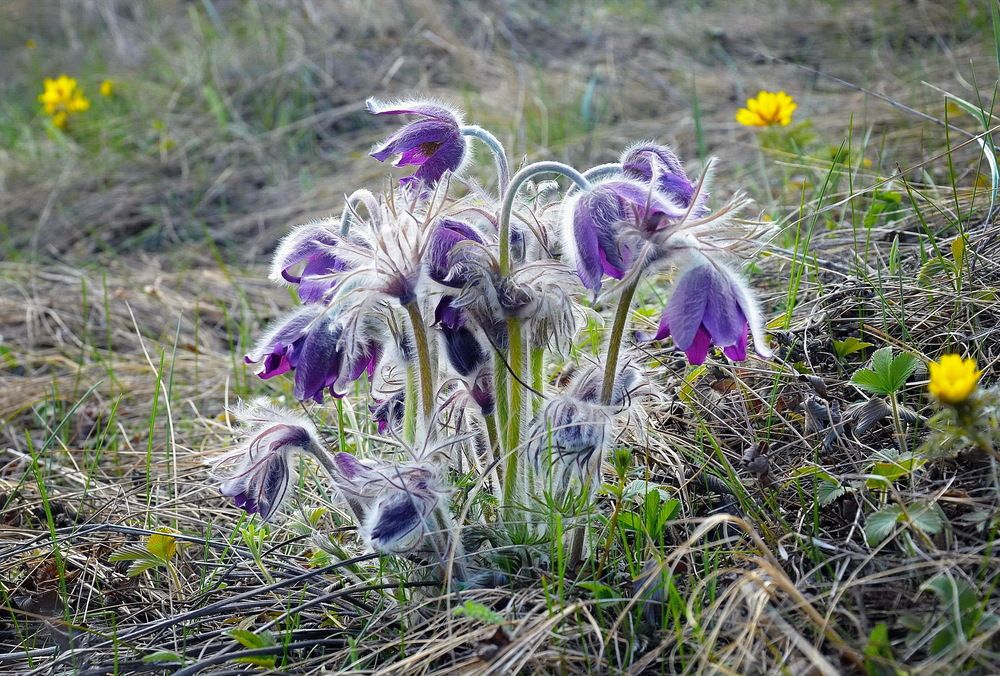 Фотография автора ВЛАДИМИР Тертышник
