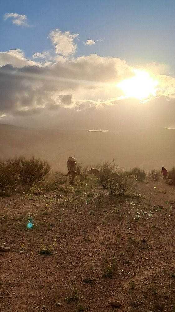 Sunset in the Atlas Mountains