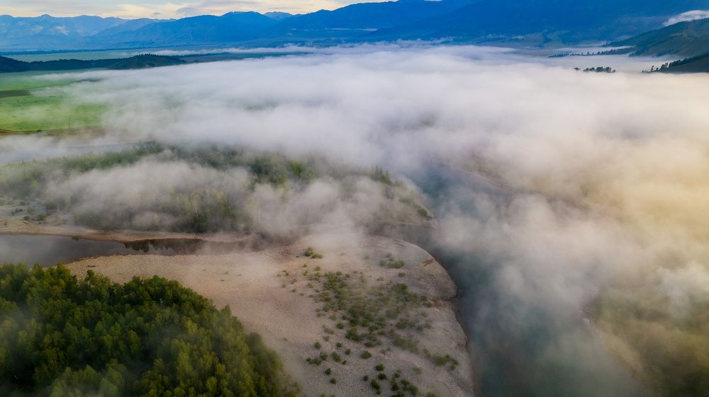 Фотография автора Totoro