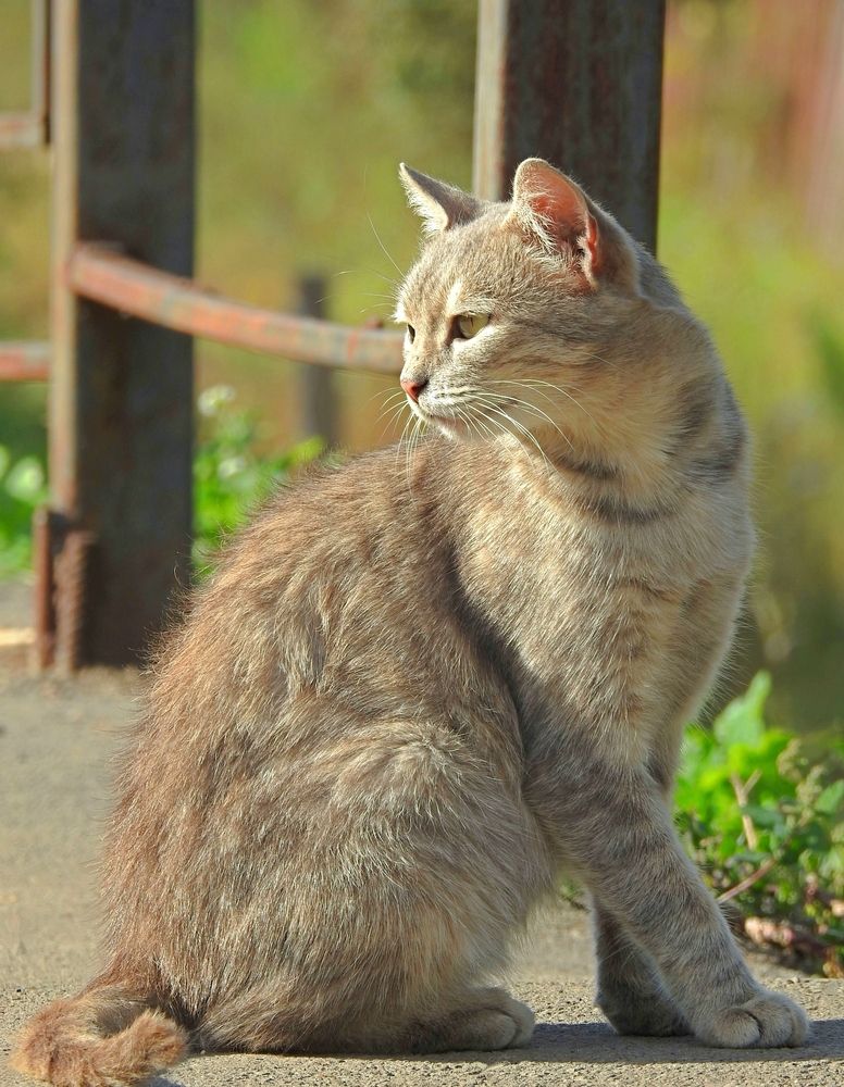 Photograph by Игорь Носков (Домненко)