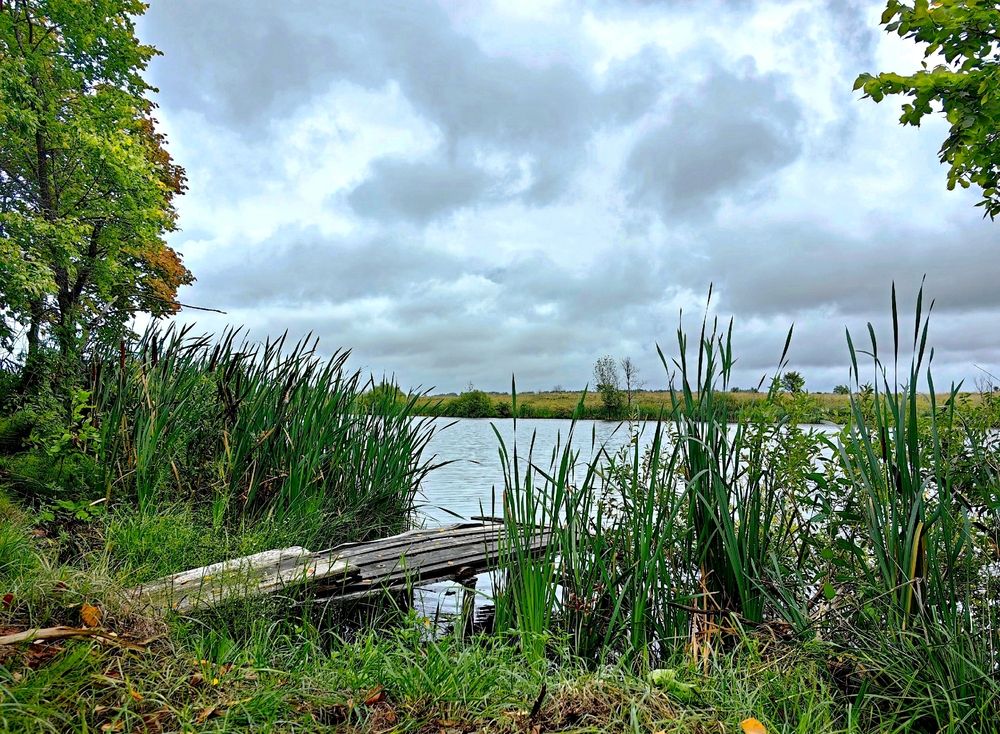 Photograph by Игорь Носков (Домненко)