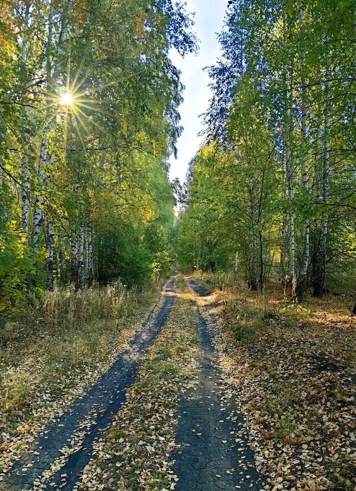 Photograph by Игорь Носков (Домненко)
