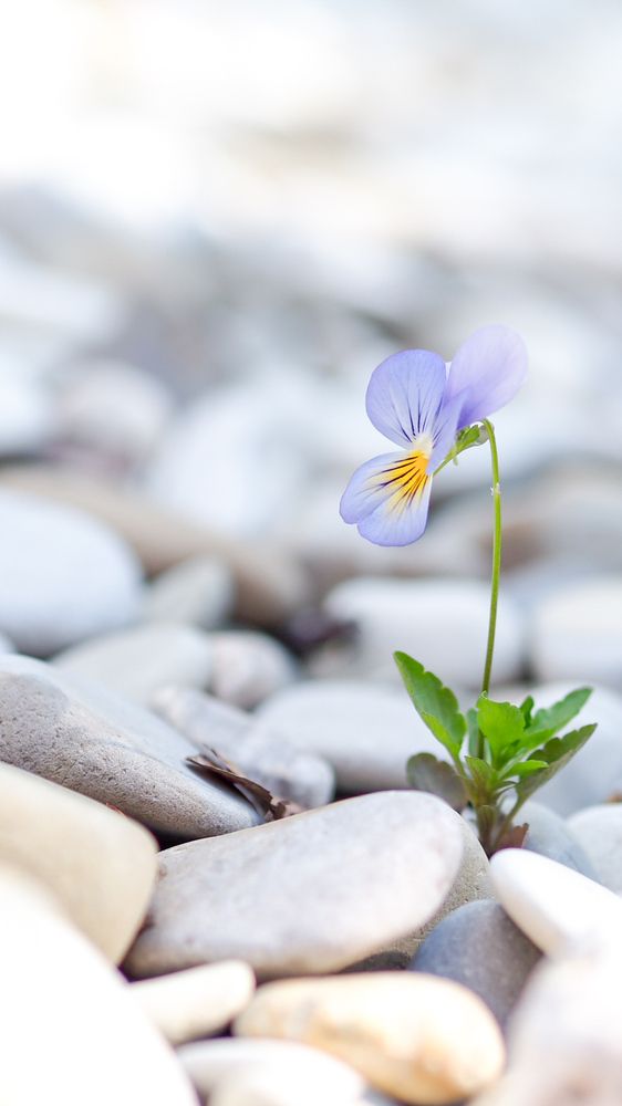 Photograph by Катерина Давыдова