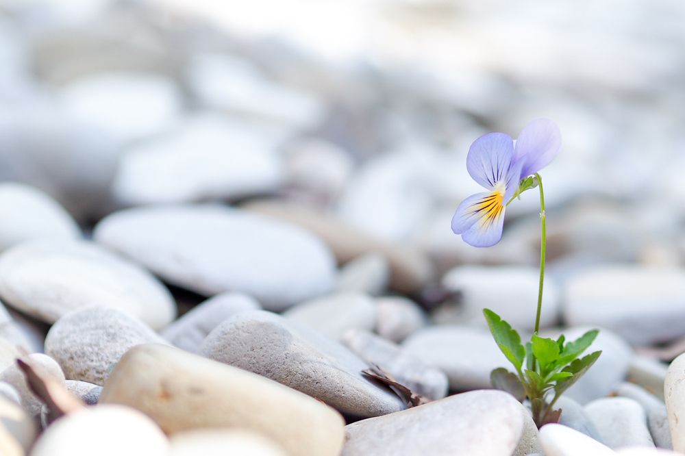 Photograph by Катерина Давыдова