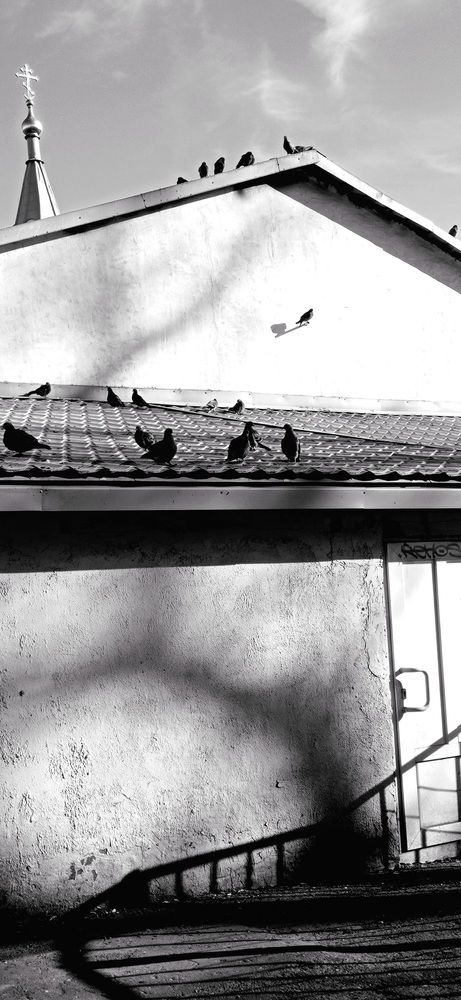 Photograph by Оксана Серёгина