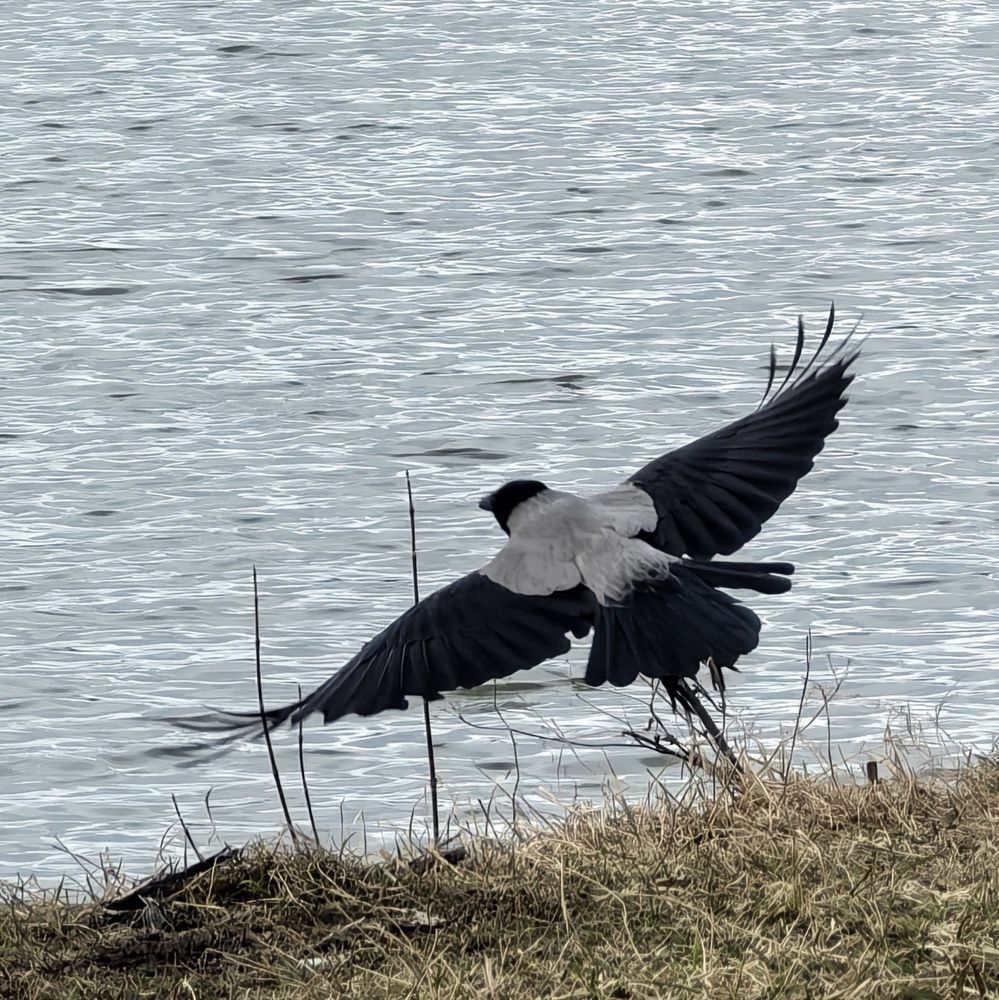 Photograph by Юрий Полушин