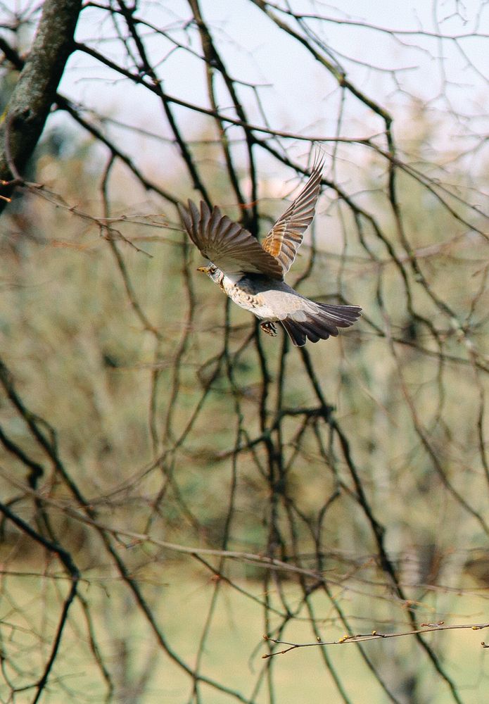 Фотография автора Дмитрий Гусалов