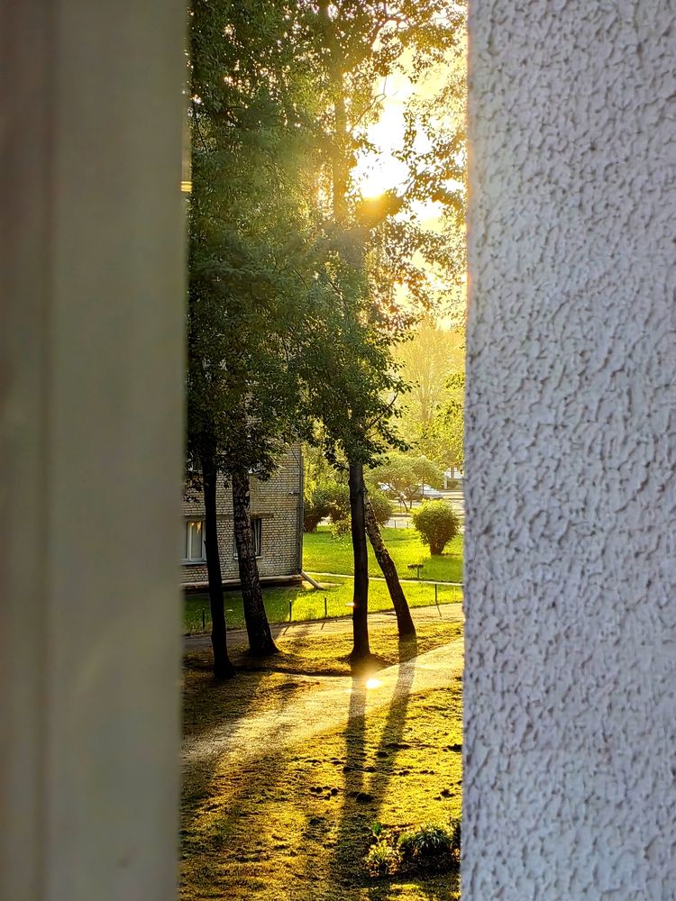 Photo #12131087