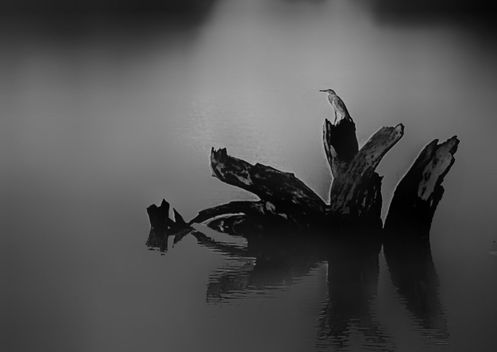 Photograph by Tharuni Shyamika Lakmali Wella Waduge