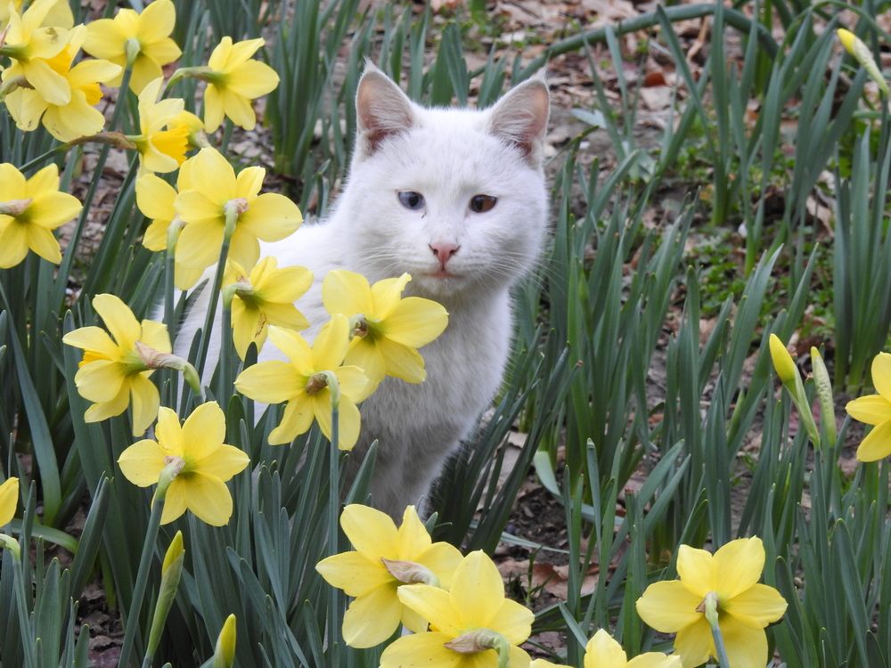 Фотография автора Shavkat Tojiyev