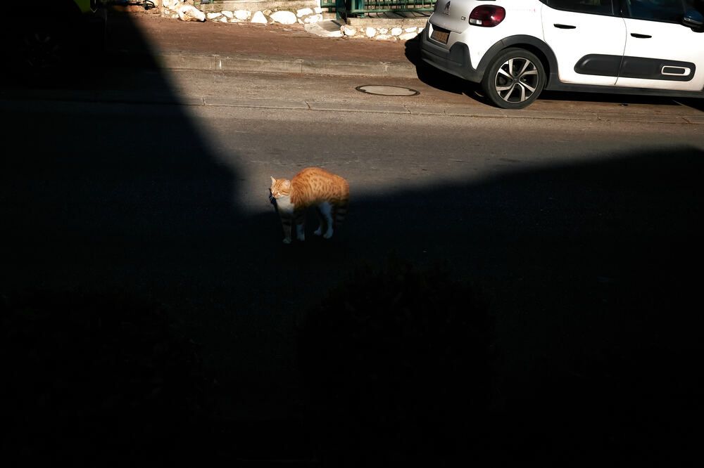 Photograph by Alexander Leshinsky