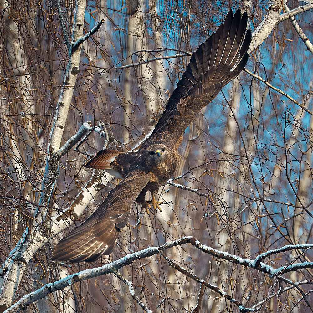 Photograph by Mikhail Khmelevskiy