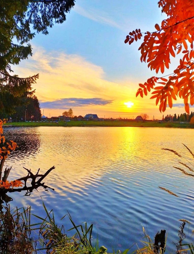 Photograph by Елена Дарьенко