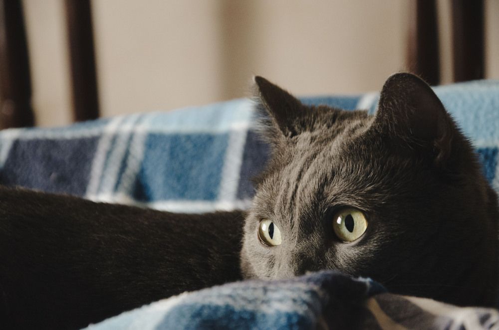 Photograph by Ульяна Бедрицкая