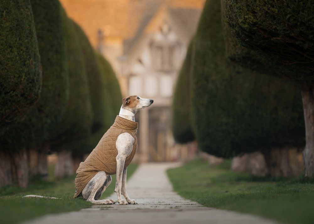 Photograph by Susan Lang