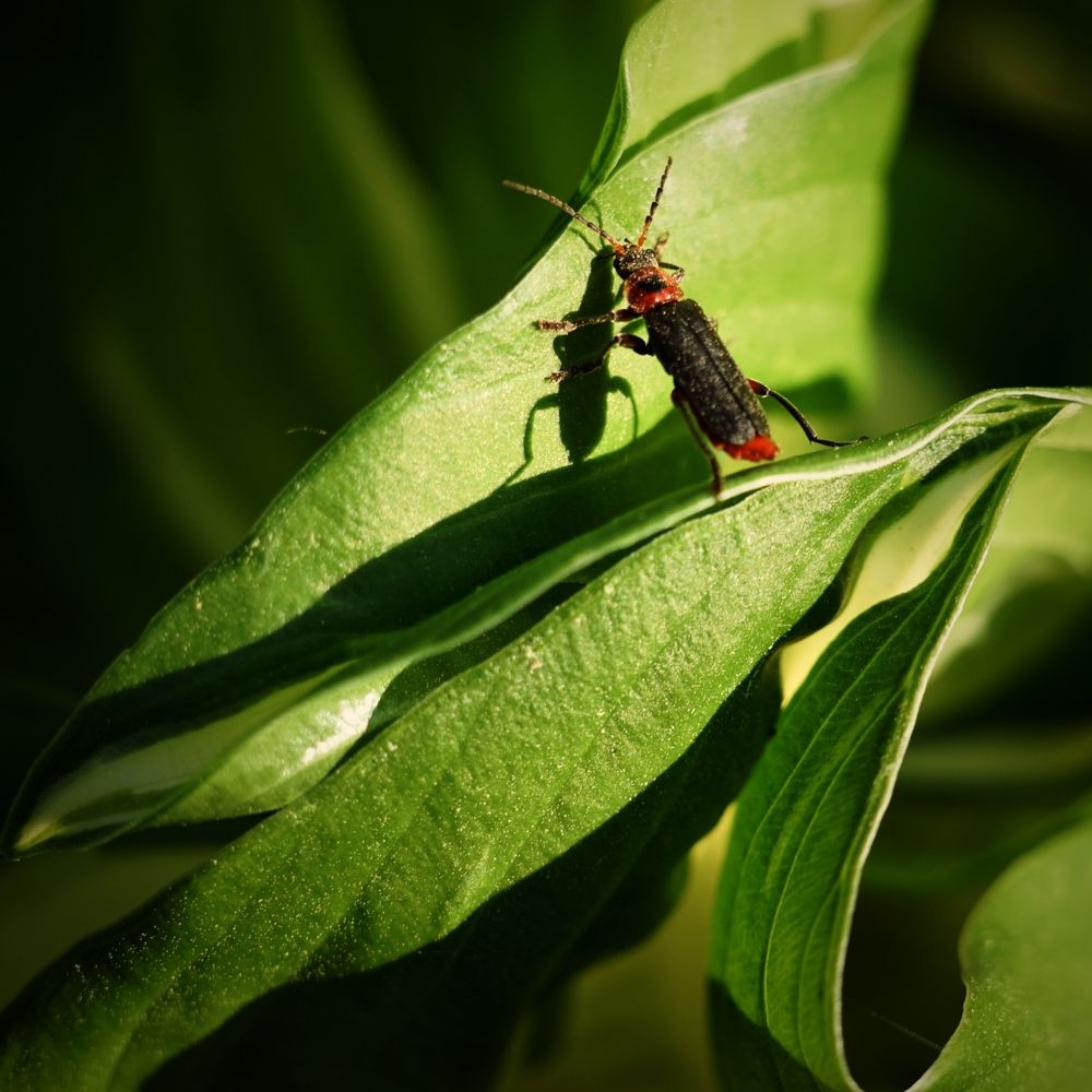 Photograph by Андрей Литов