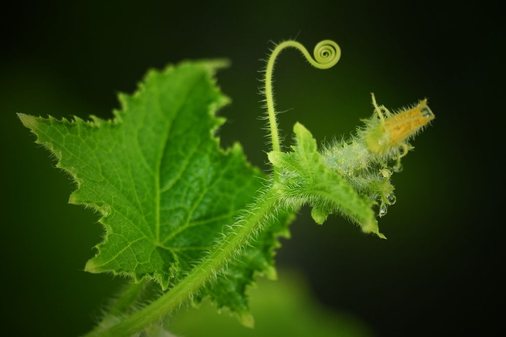 Photograph by Андрей Литов